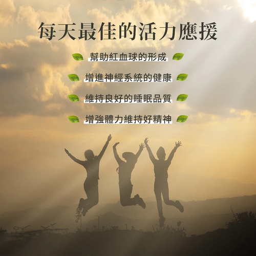Sanct Bernhard 德國百年草本-Herbafit 維生素B12 1000mcg 錠狀 (180顆/罐)