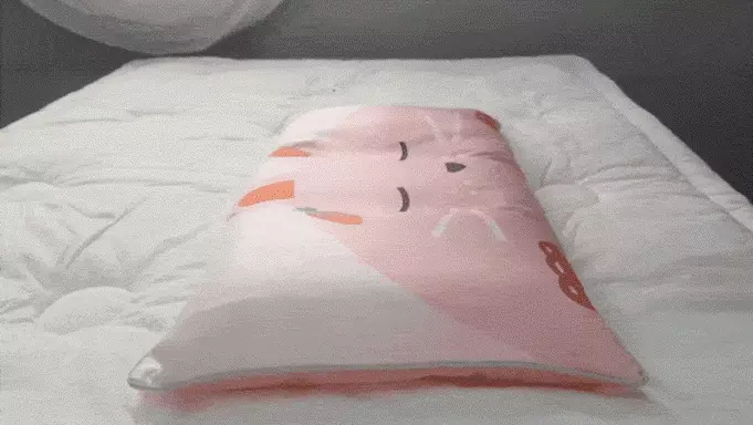 正韓Hello HiZoo - 純手工製可愛動物防蟎抗菌兒童枕/護脊/護頸枕/透氣枕-偶像猴