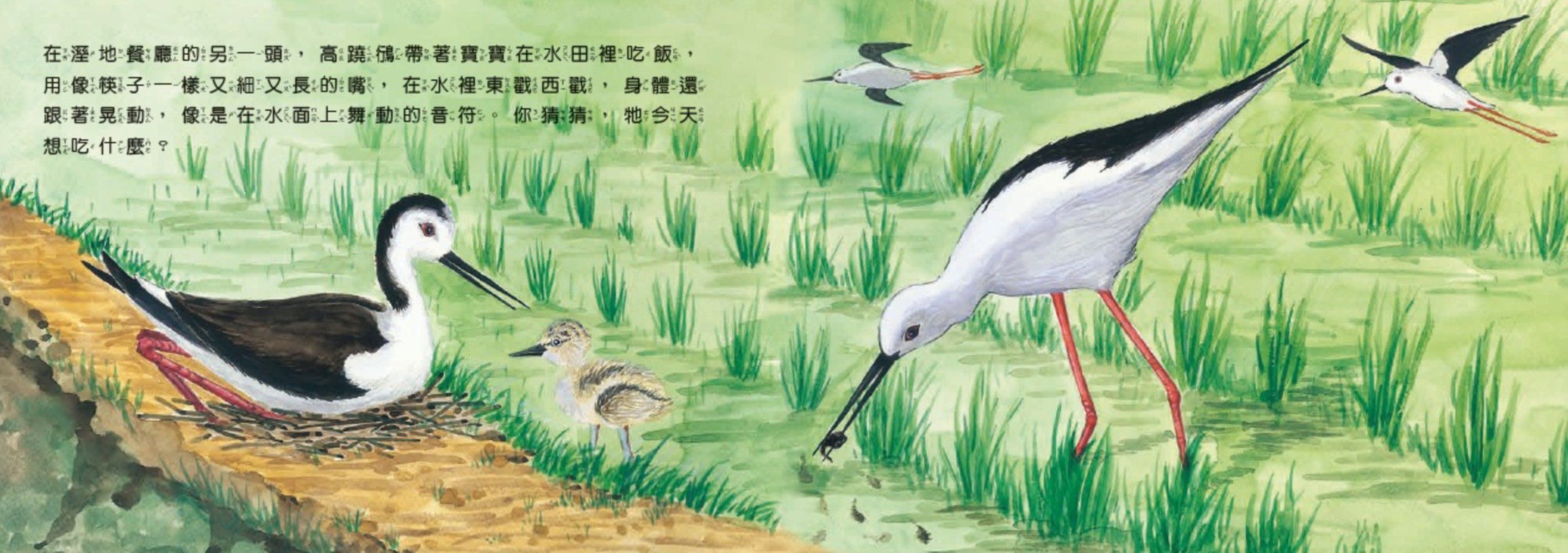 歡迎光臨溼地鳥餐廳