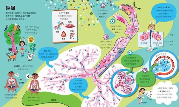 人體大百科-精裝