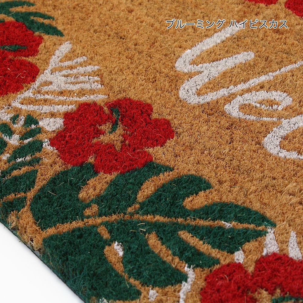 日本 TOMO - (室外款)長方形刮泥沙地墊-海龜 (約60x40cm)