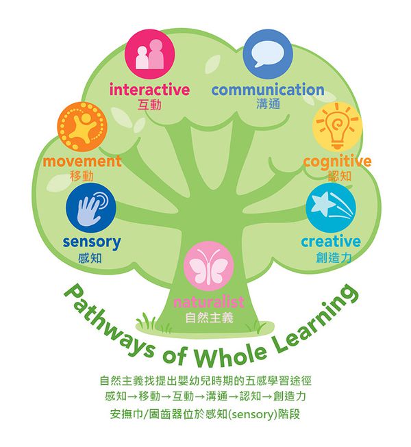 美國 green sprouts - 小綠芽食品安全等級矽膠固齒器2入組-紫紅組