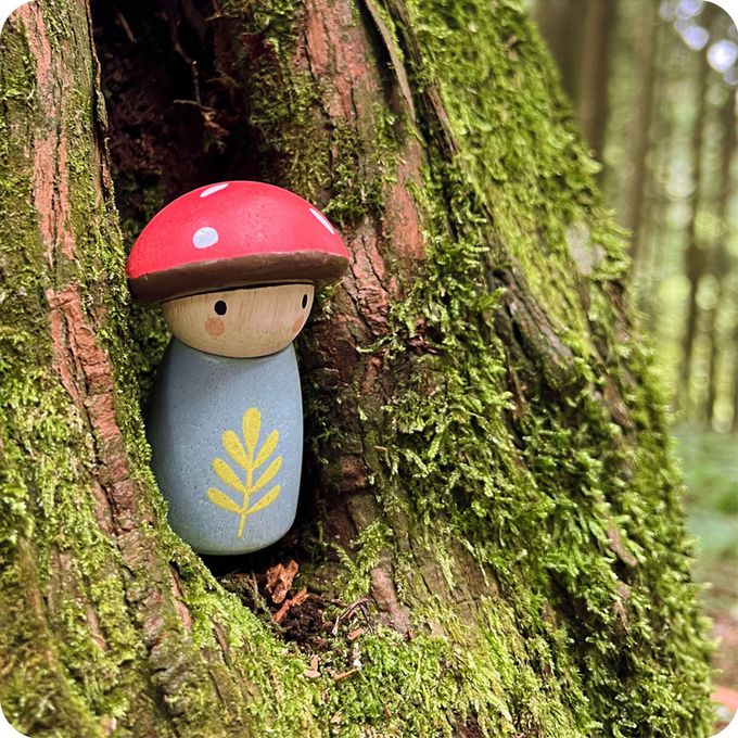 美國 Tender Leaf - 森林夥伴計程車