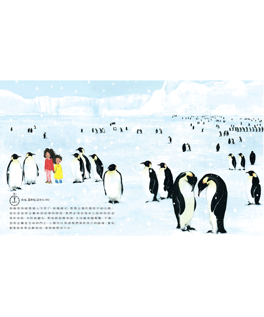 我們的世界：地球上的24小時