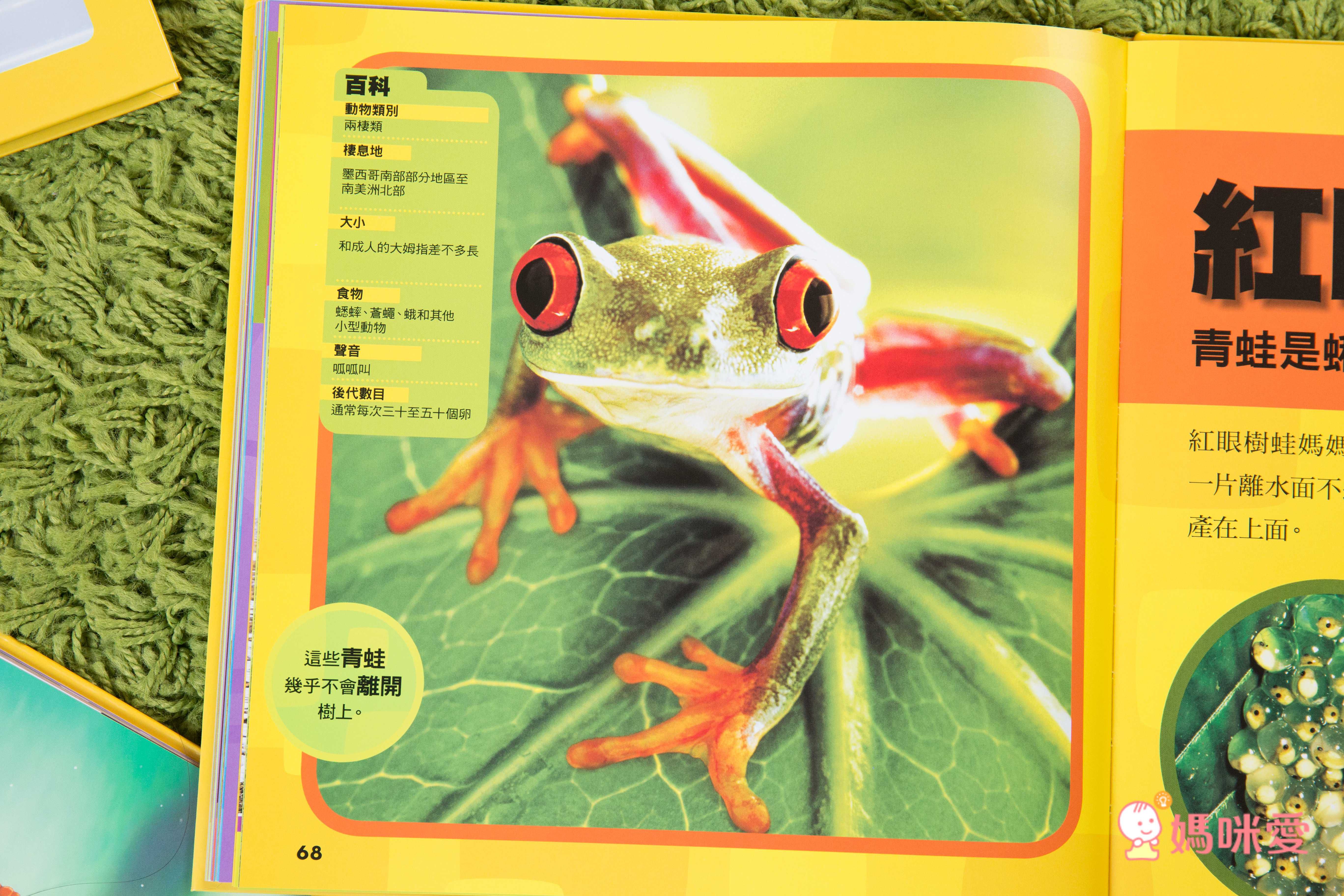 小小動物探險家 (精裝 / 128頁 / 全彩印刷)