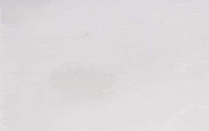 涼爽舒適的MONEE COOL 純淨涼感墊