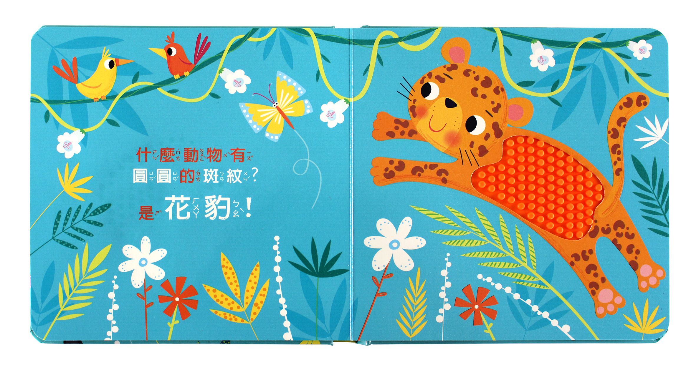 動物大驚奇-觸摸認知書