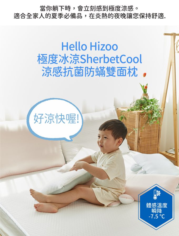 韓國 Hello HiZoo - 極度冰涼Sherbetcool 兒童涼感造型抗菌防蟎雙面枕/涼感枕/護脊/護頸枕 (熊耳)