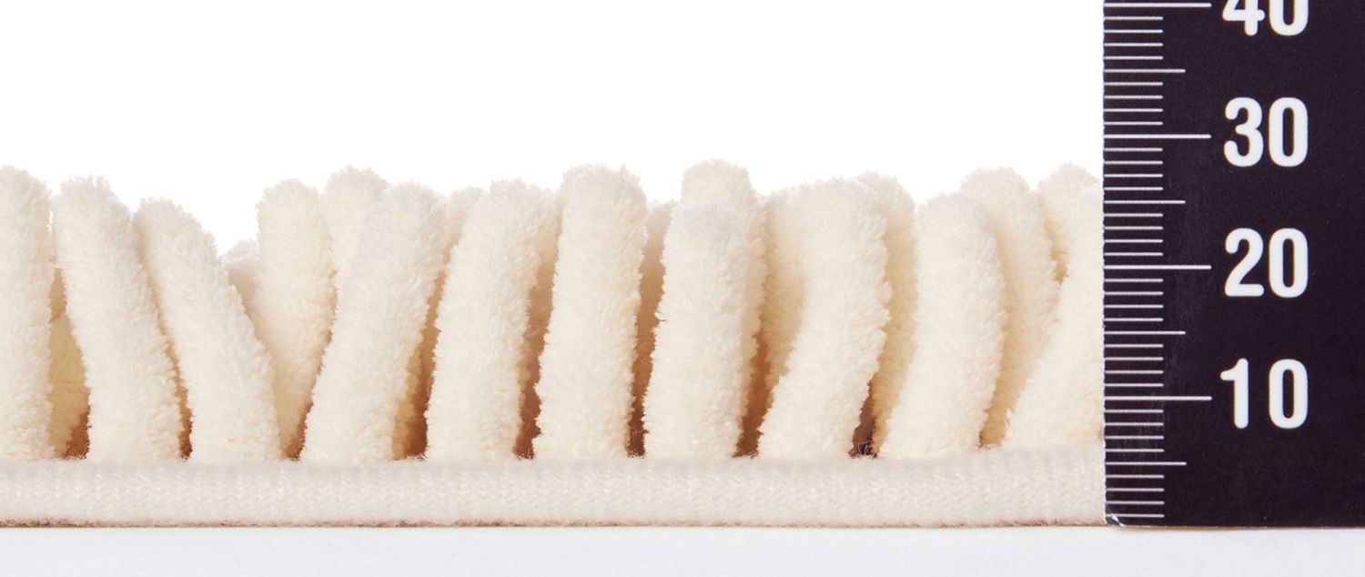 日本千趣會 - mini labo 去泥污腳踏墊-法蘭西花朵-藍綠