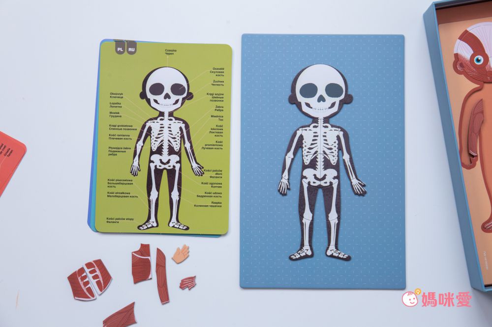 熱銷補貨到【西班牙 APLI 】初階拼圖／旅行遊戲卡／馬賽克拼貼