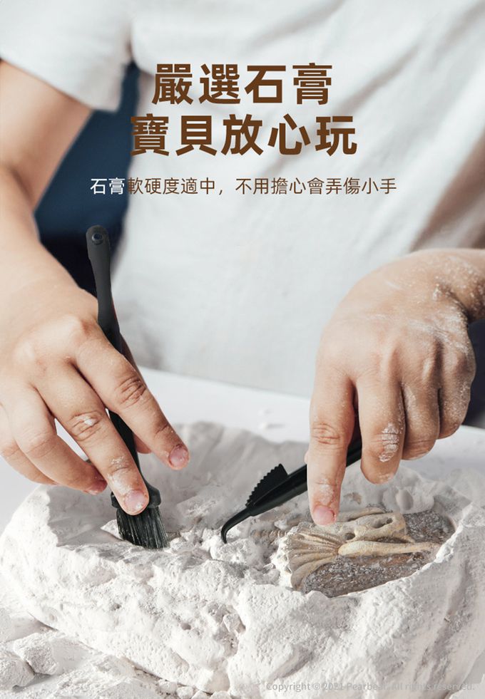 MiDeer - 考古挖掘套組-霸王龍