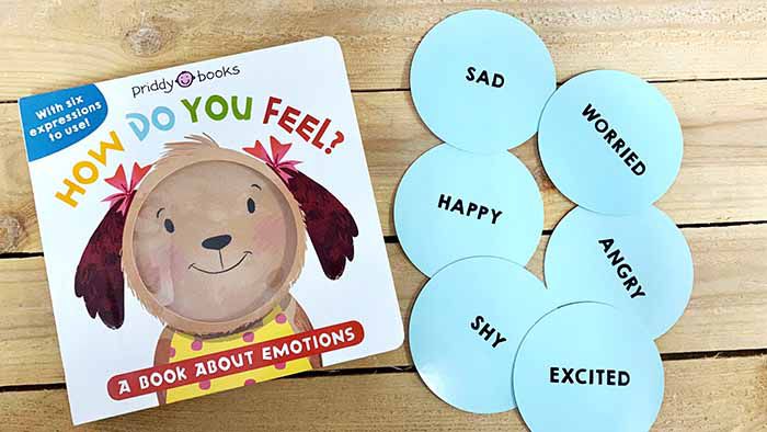 My Little World: How Do You Feel? 我的小小世界：我的不同心情 (可換臉)