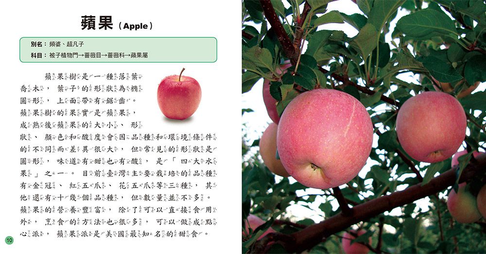 兒童百科：植物小百科-精裝