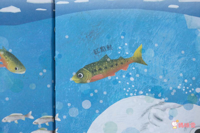 10理由讓你愛上動物！【閣林文創 】生命教育最佳入門書 / 環遊世界之旅 / 恐龍繪本♕大孩子一定要入手的暢銷套書！