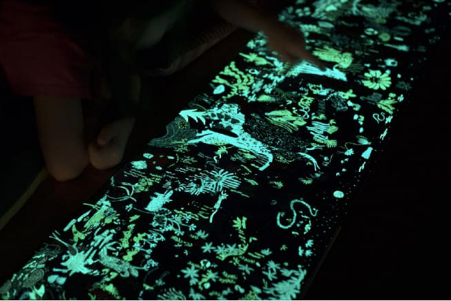 夜光找一找：不可思議的雨林大探索