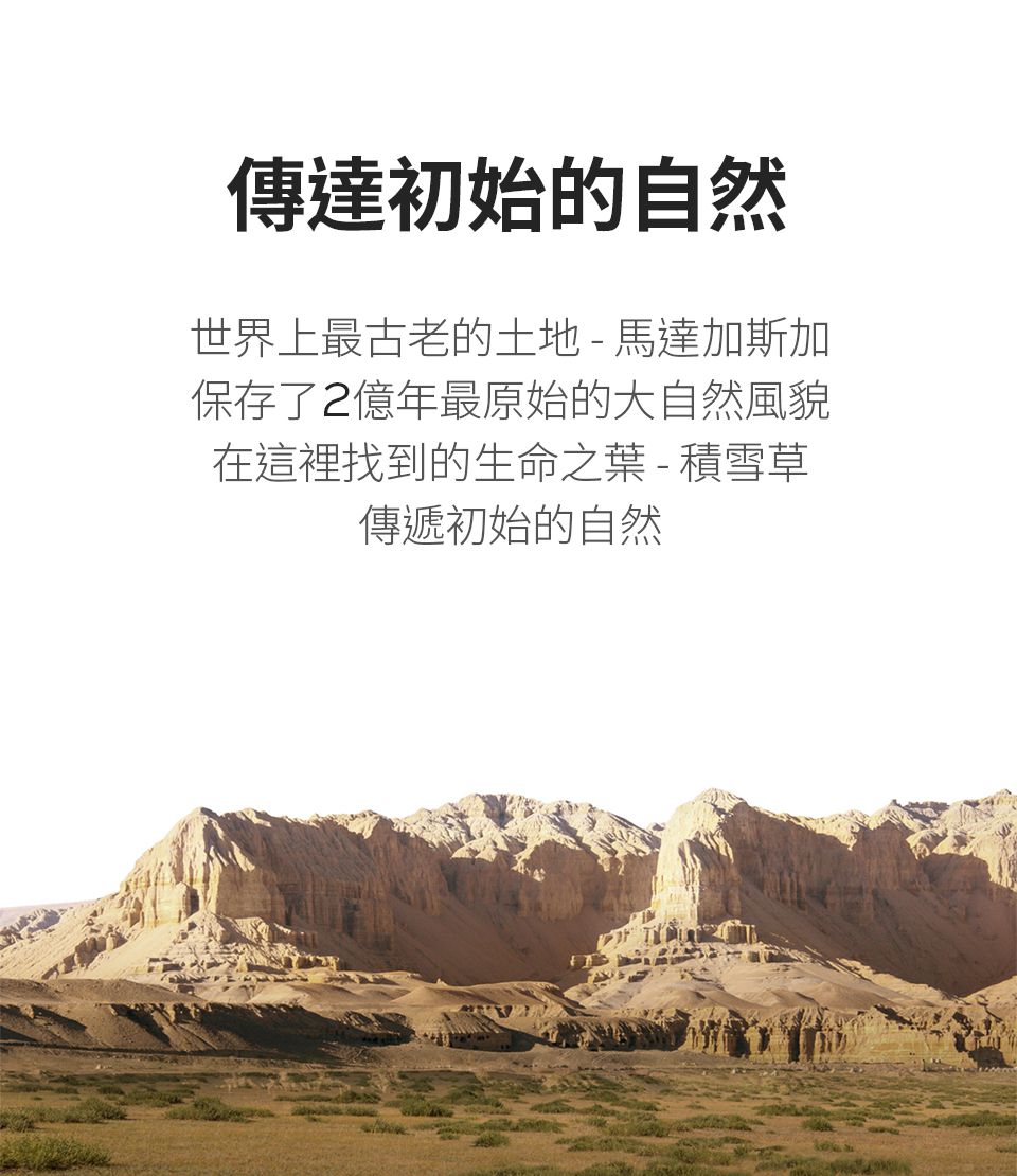 SKIN1004 - 馬達加斯加積雪草-精華液 (單入)-100ml