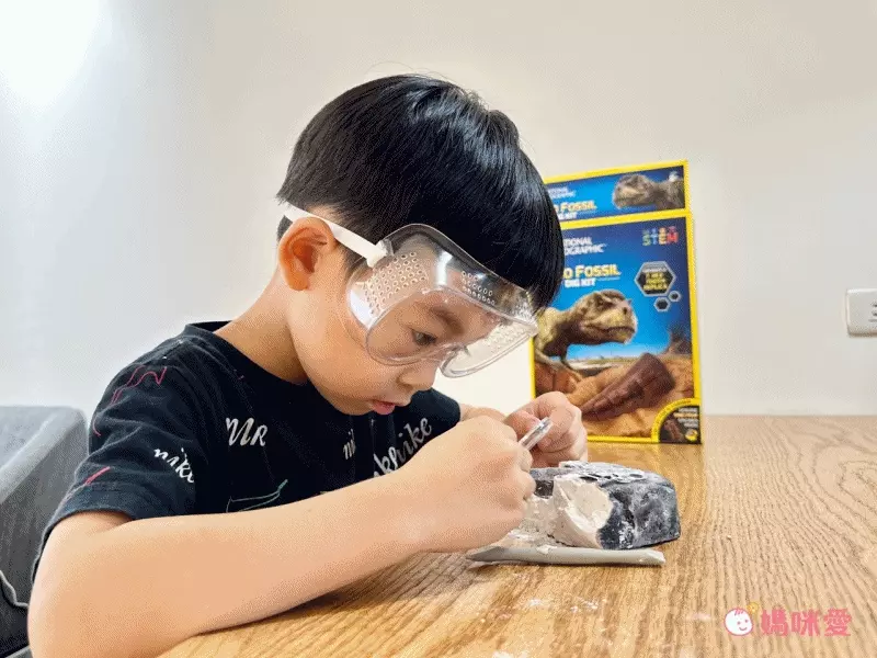 NATIONAL GEOGRAPHIC - 國家地理頻道 恐龍化石挖掘套組