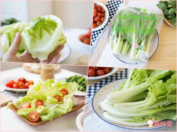 【鋐洲生技有機農場】有機蔬菜水果箱 / 有機芭樂