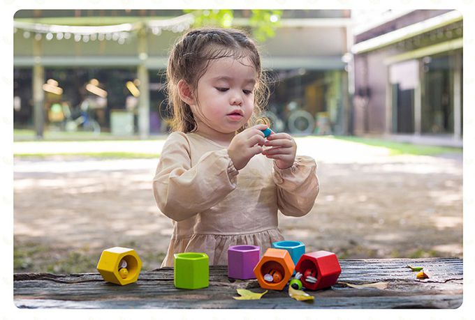 泰國 Plantoys - 分數概念學習組