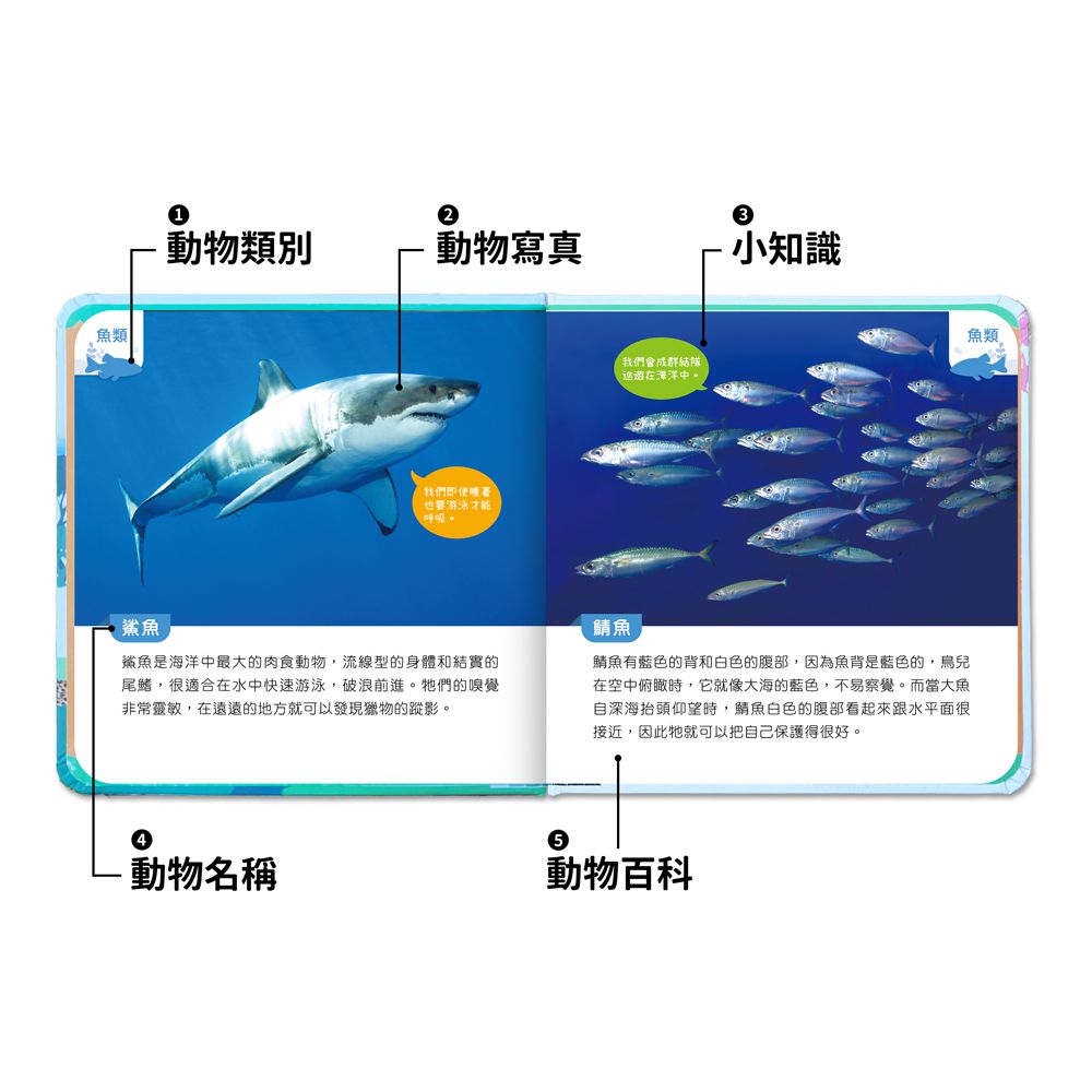 前進動物王國