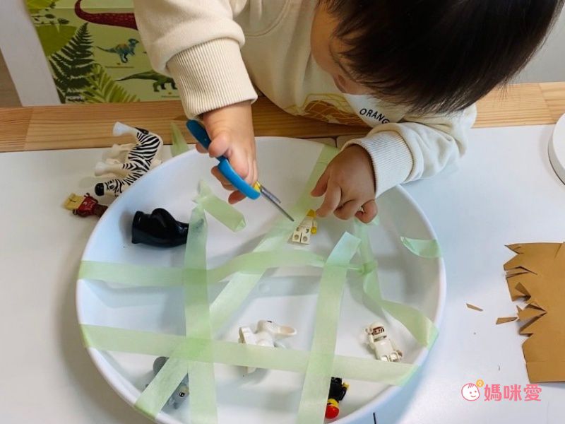 風靡歐美的感官盆懶人包！【玩玩play】一盆成就百種玩法