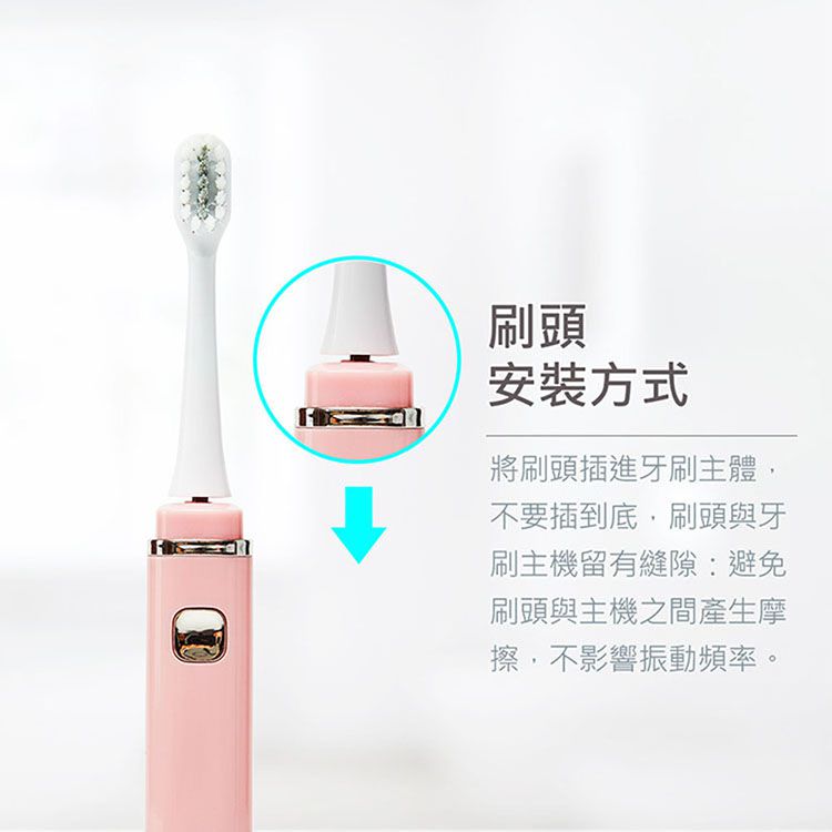 NETTEC - 1835C 電動牙刷專用刷頭(2入)-3組-不包含主機