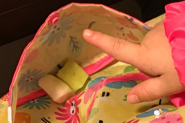 美國 green sprouts - 魔鬼氈雙面防水/防食物掉落長袖圍兜單入組-甜蜜花園