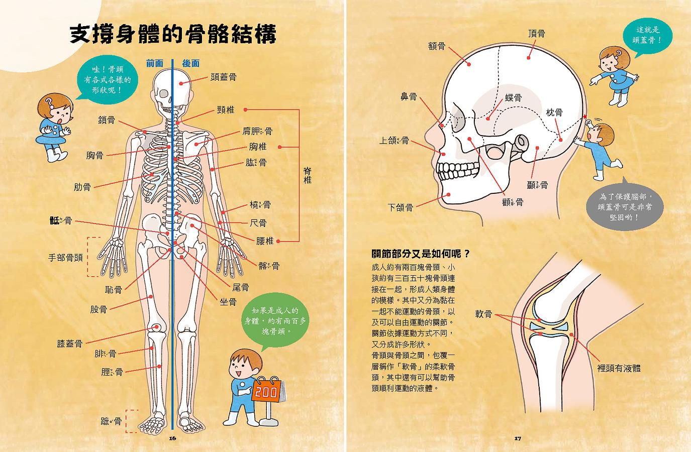 出發吧! 人體探險隊: 揭開身體消化道、泌尿系統、骨骼肌肉、心臟血管……不可思議的祕密 (新版)