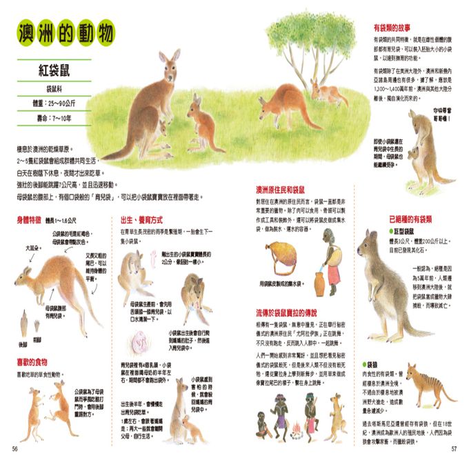 野生動物生態繪本