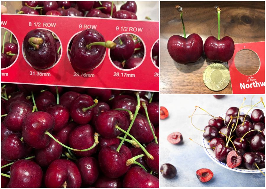 草莓界的夢幻逸品！熊本草莓空運直送 ❤ 濃濃甜香、果肉飽滿細緻