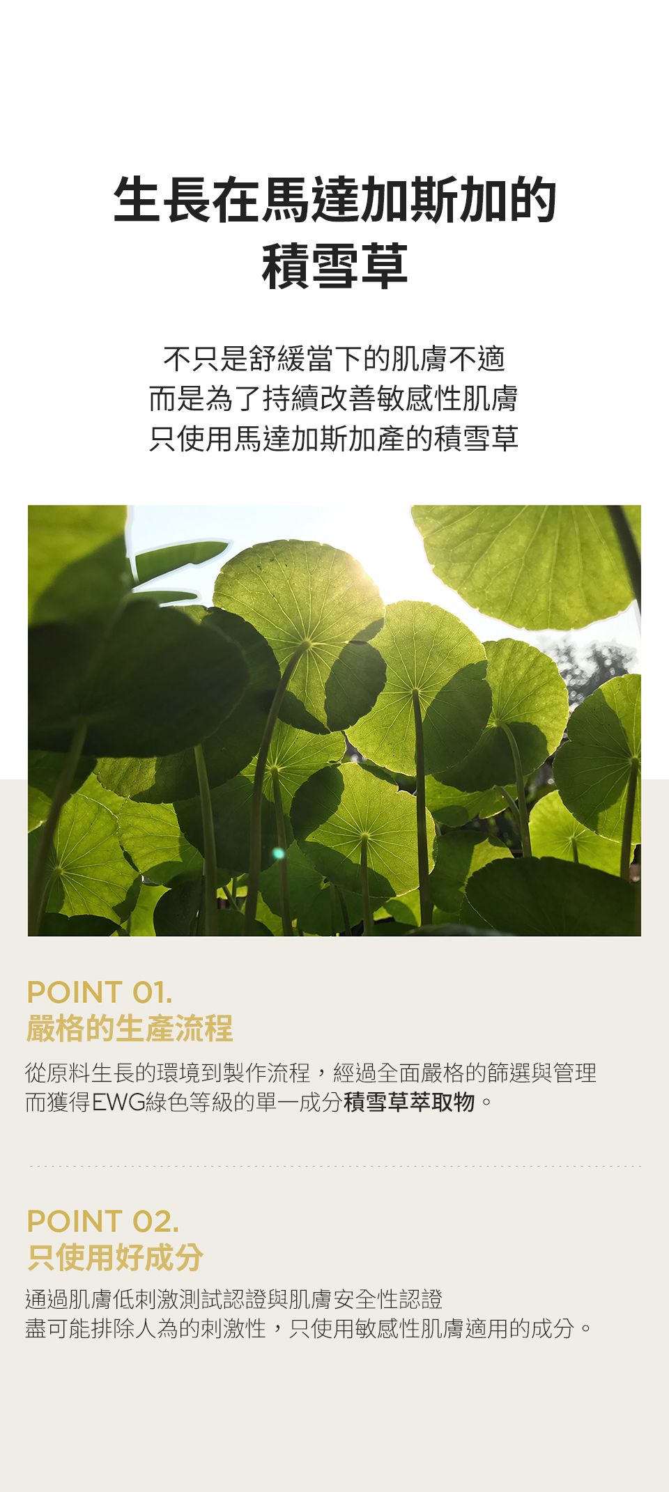 SKIN1004 - 馬達加斯加積雪草-精華液 (單入)-100ml