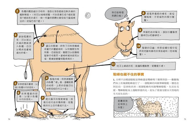 神奇酷地理3：變幻莫測的沙漠(2022新版)