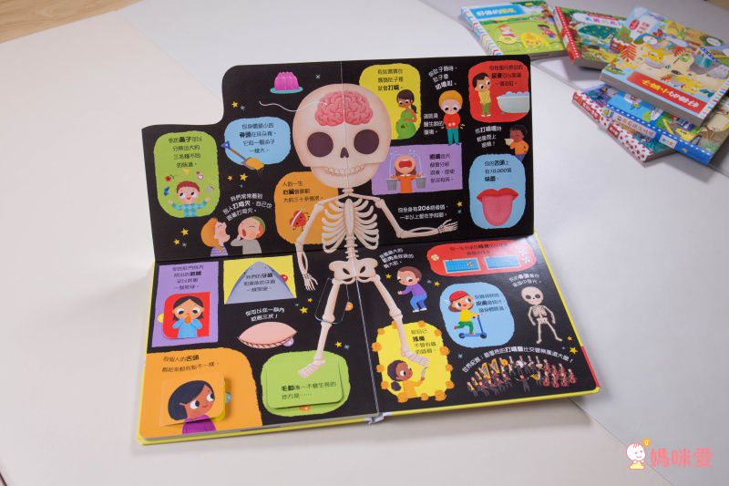 ★打造聰明好腦袋★益智翻翻小百科 / 童趣推拉轉操作書大集合！