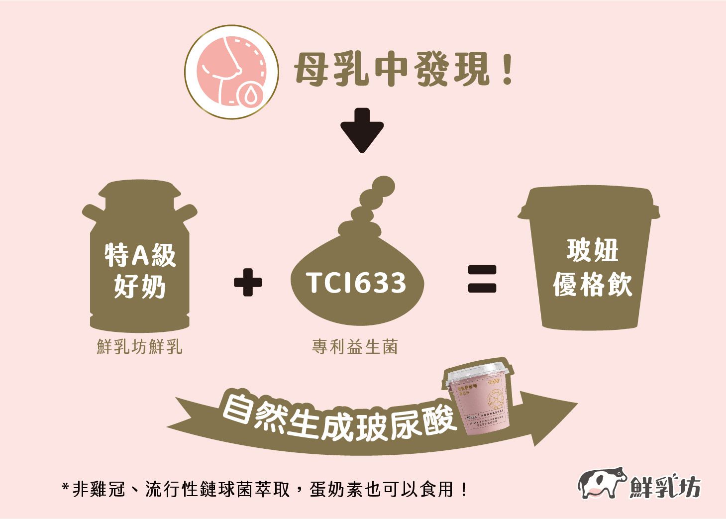 限時優惠！【鮮乳坊 A2β酪蛋白鮮乳】獸醫把關，貼近母乳好吸收