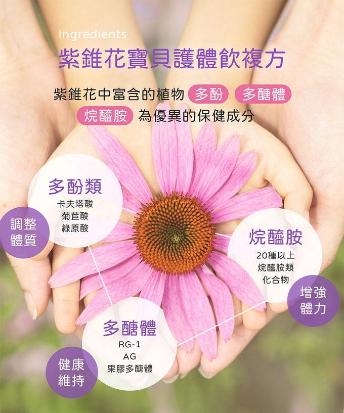 花賜康 - 紫錐花寶貝護體飲-10瓶/盒x3