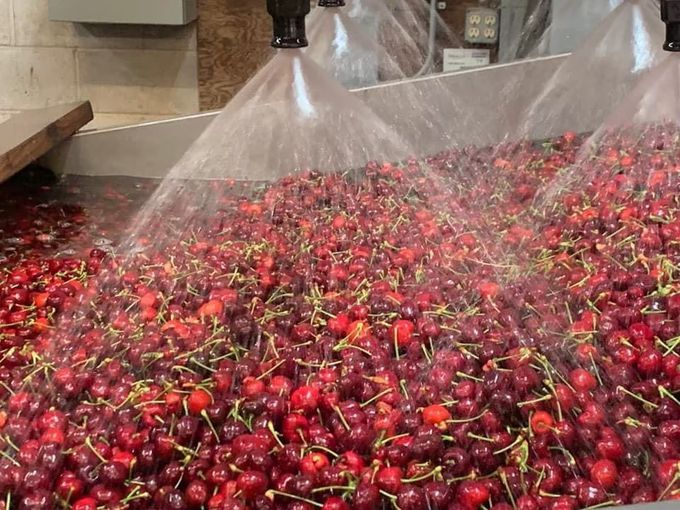 果子禮 - 超值優惠!!智利28-30mm(2J)紅寶石櫻桃含箱重1kgX2盒-(淨重850克/盒)