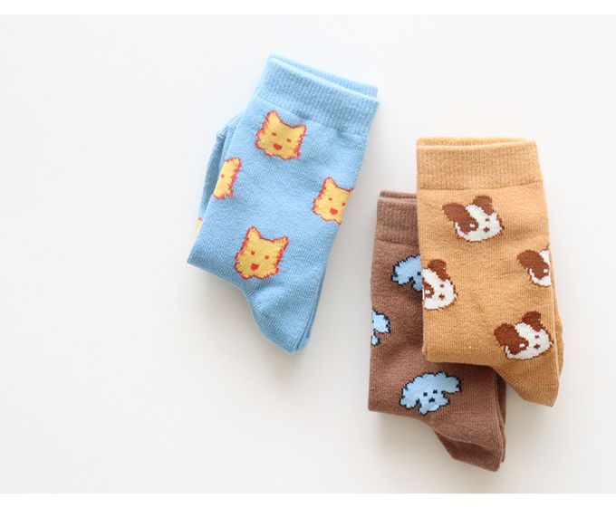 韓國 Kokacharm - 兒童中長襪/襪子三入組-手繪狗狗印-咖啡X藍X棕