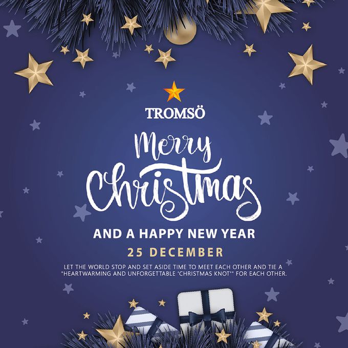 TROMSO - 風格旅程桌上型聖誕樹/含豐盛耶誕掛飾及附LED省電造型燈串-挪威松果森林 (總長約60cmx樹圍直徑約30cm)-總重量約600g