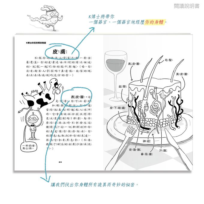 K博士的怪奇解剖教室(上)(下) (KAY’S ANATOMY) （中高年級知識讀本）