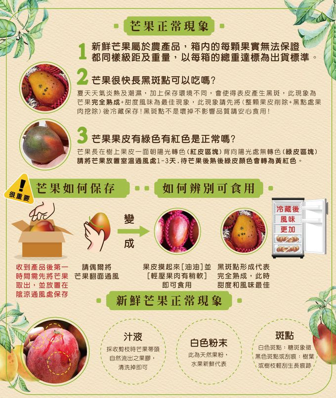 果子禮 - 屏東愛文芒果(預購商品) (愛文芒果5-6顆*3箱)-5~6顆/箱,隨機出貨