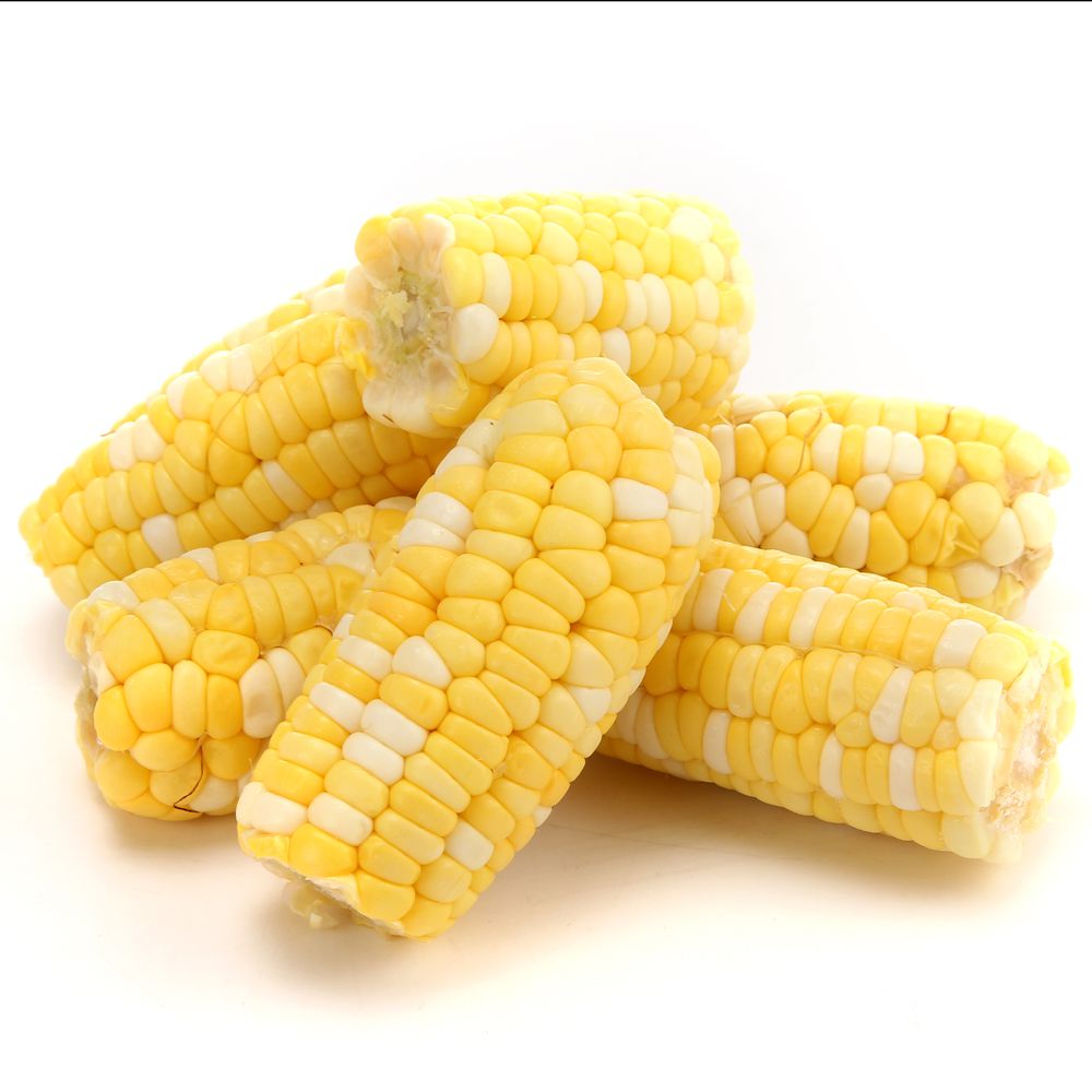 【鋐洲生技有機農場】有機蔬菜水果箱 / 有機芭樂