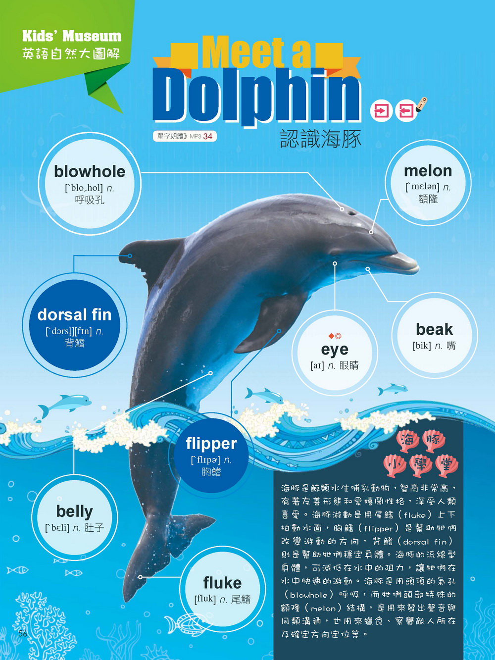 Kids互動英語 NO.4