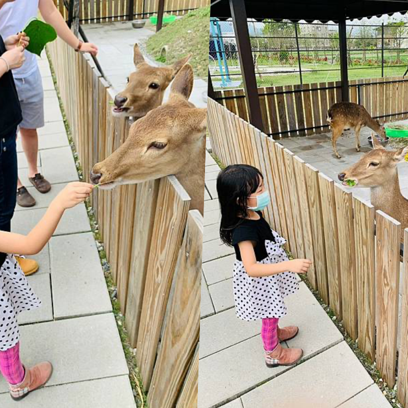 艾玹爾飯店集團 - 四館聯合通用-多愛溫泉會館/天使輕旅/艾玹爾溫泉商旅/天使星夢渡假村(需加價)-雙人平日住宿券含２客早餐-超值4張組-優惠活動使用無效期
