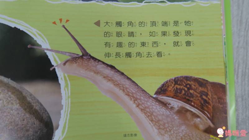 2021【康軒雜誌】跟團即送：【生活數學遊戲寶盒+新期刊】