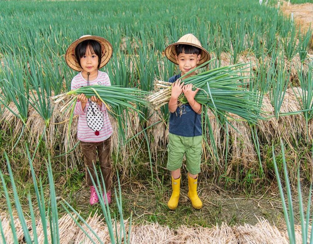 礁溪白宮渡假勝地 - 『媽咪愛特談』平日經典雙人客房一泊一食專案-有效期限至2024/12/31