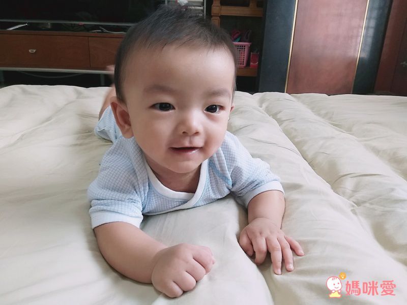 日本 Combi - mini系列-純棉紗布蝴蝶衣-白熊(粉紅格紋) (60-70)