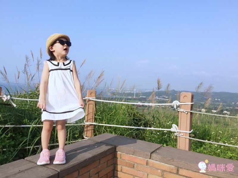 ❀夏日森林系 TOUNGIEE 簡約洋裝❀ ＣＰ值超高！