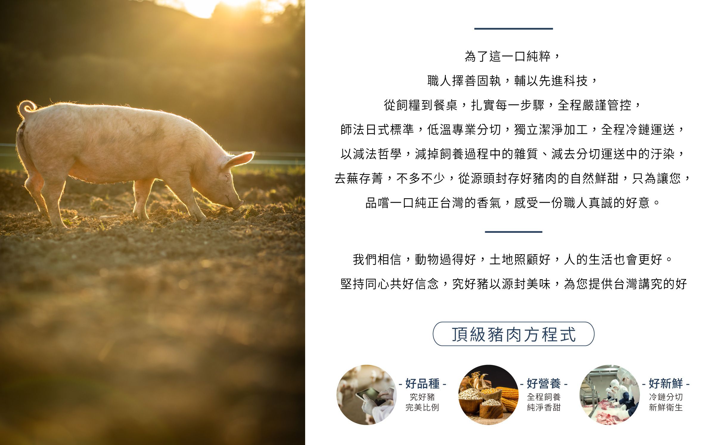 究好豬 - 紹香元蹄-900g/包