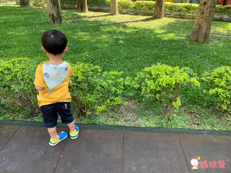 Muslin tree 吸汗背巾/包巾/防踢被睡袋 ♡ 夏天的好朋友