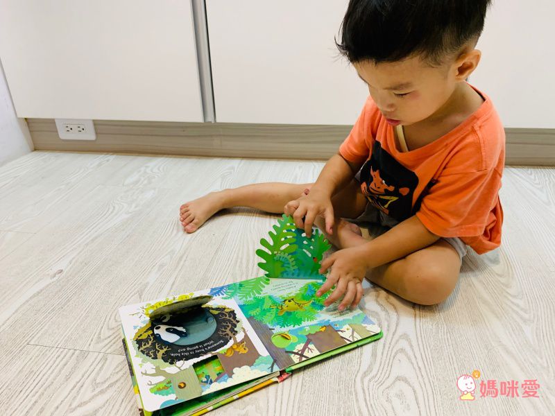 來自英國 最暢銷童書出版社【Usborne】知識遊戲書 ★ 展開超大「大圖大頁百科書」